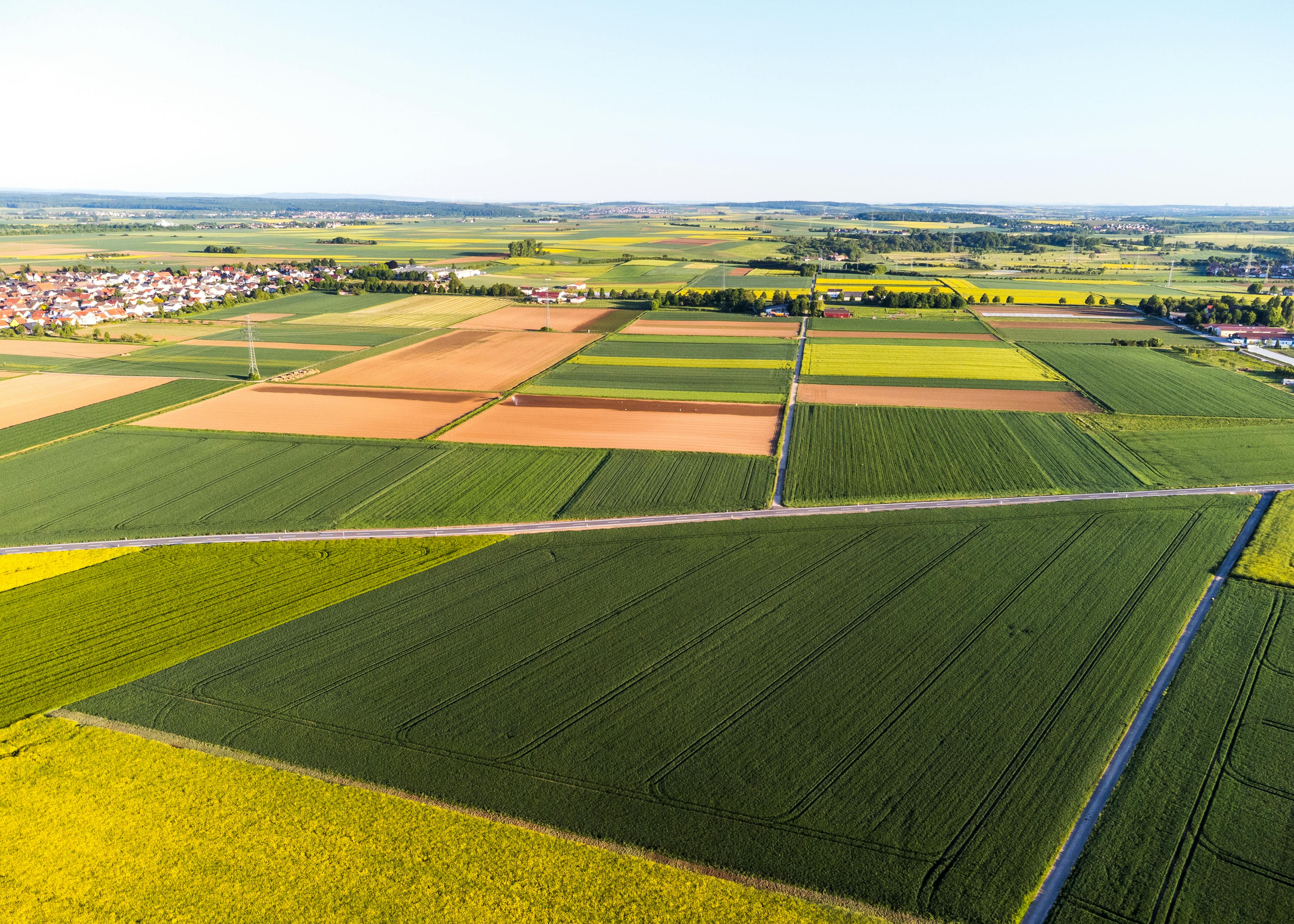 Dominion Agri Field